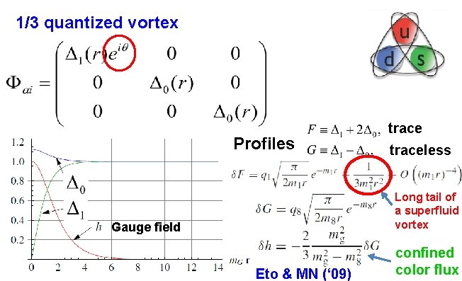 1/3 quantized vortex Profiles traceless Long tail of a superfluid vortex Gauge field Eto