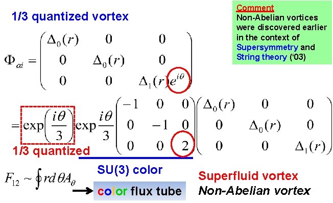 1/3 quantized vortex Comment Non-Abelian vortices were discovered earlier in the context of Supersymmetry