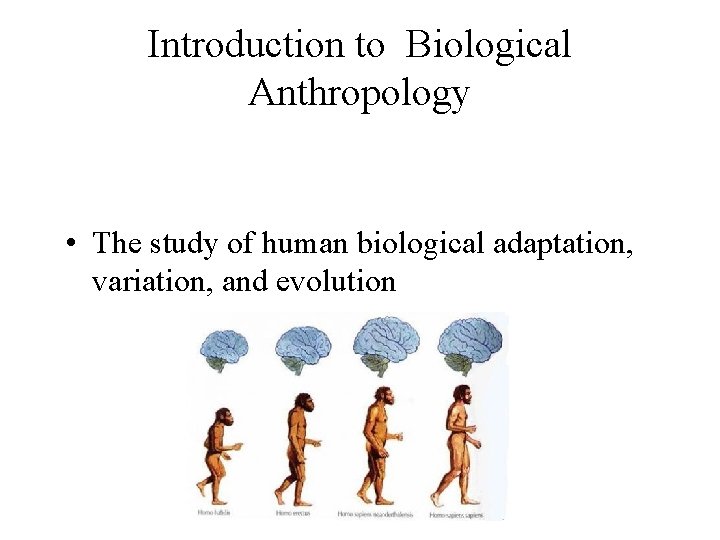 Introduction to Biological Anthropology • The study of human biological adaptation, variation, and evolution