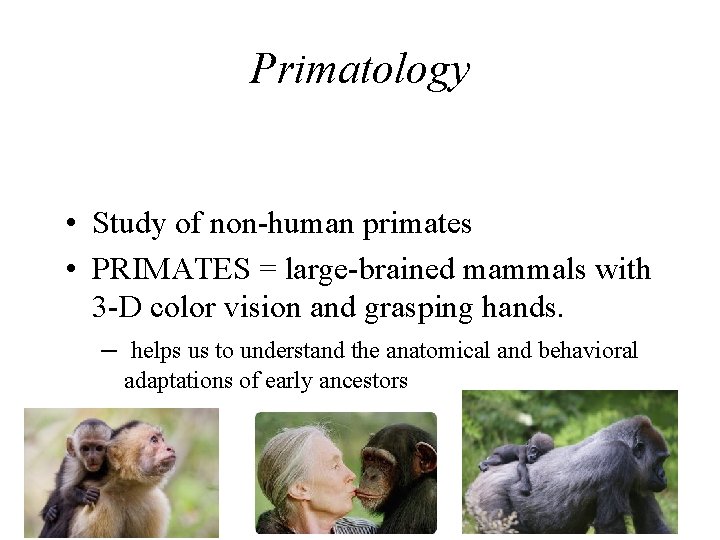 Primatology • Study of non-human primates • PRIMATES = large-brained mammals with 3 -D