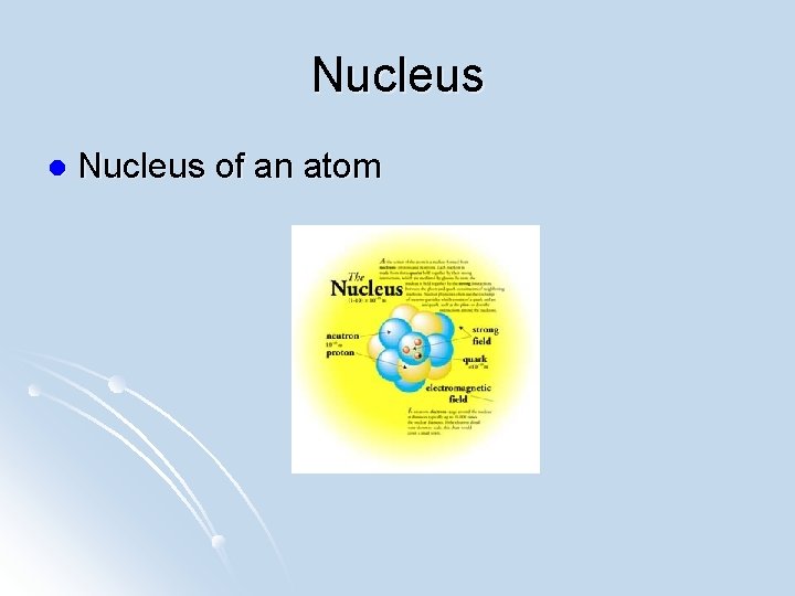 Nucleus l Nucleus of an atom 