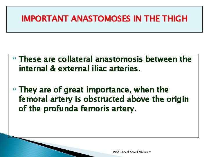 IMPORTANT ANASTOMOSES IN THE THIGH These are collateral anastomosis between the internal & external