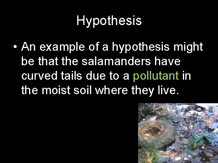 Hypothesis • An example of a hypothesis might be that the salamanders have curved