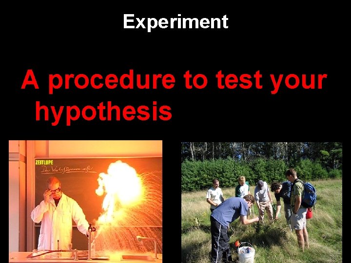 Experiment A procedure to test your hypothesis 