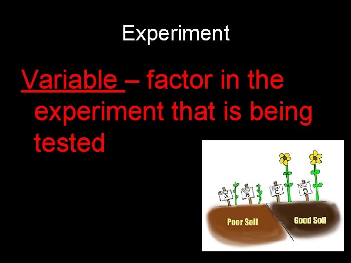 Experiment Variable – factor in the experiment that is being tested 