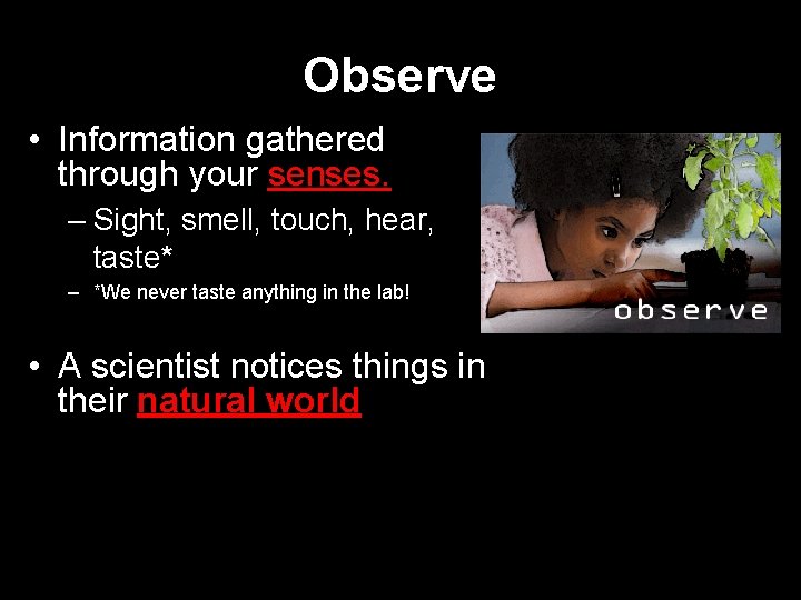Observe • Information gathered through your senses. – Sight, smell, touch, hear, taste* –