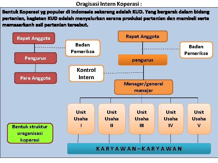 Oragisasi Intern Koperasi : Bentuk Koperasi yg populer di indonesia sekarang adalah KUD. Yang