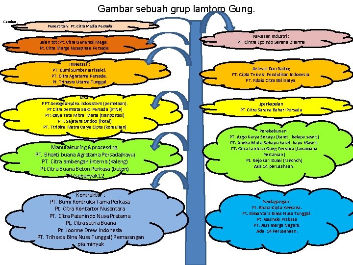 Gambar sebuah grup lamtoro Gung. Gambar ; Penerbitan : Pt. Citra Media Persada Jalan