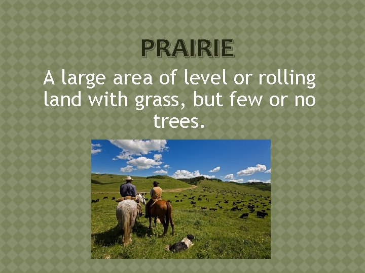 PRAIRIE A large area of level or rolling land with grass, but few or