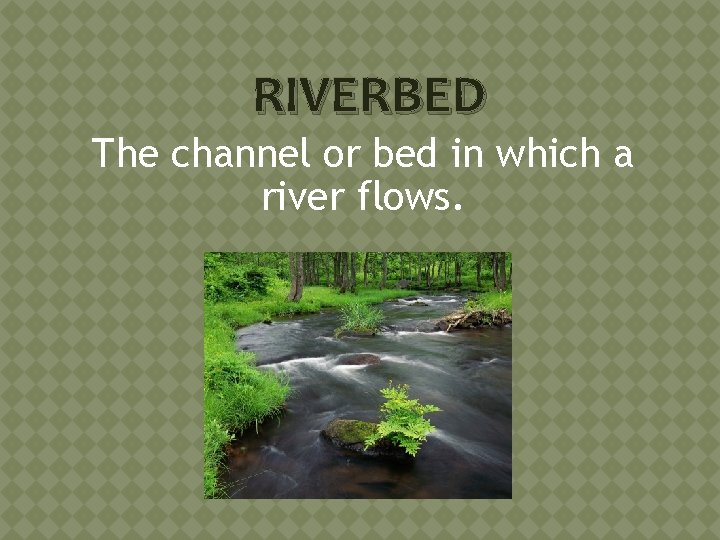 RIVERBED The channel or bed in which a river flows. 