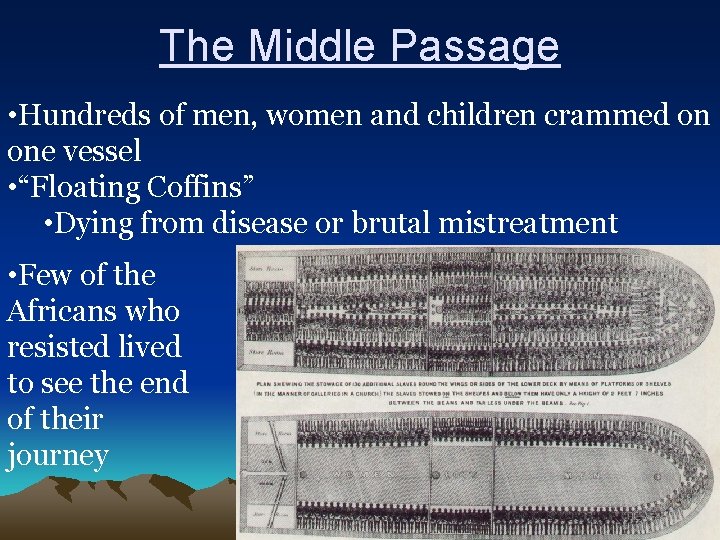 The Middle Passage • Hundreds of men, women and children crammed on one vessel