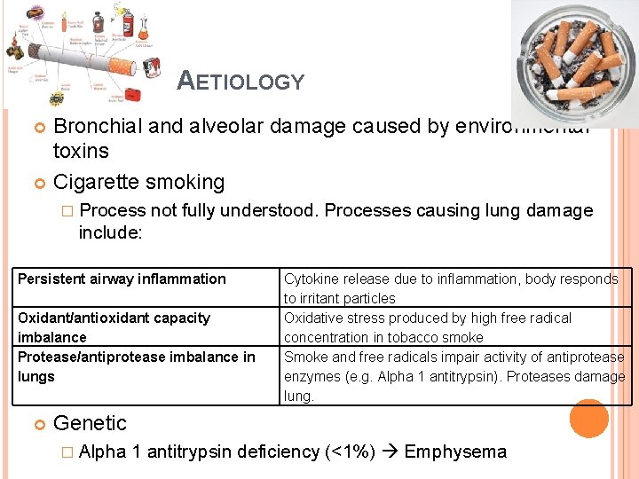 AETIOLOGY Bronchial and alveolar damage caused by environmental toxins Cigarette smoking � Process not
