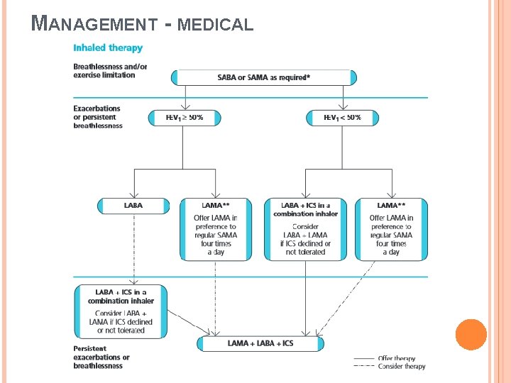 MANAGEMENT - MEDICAL 