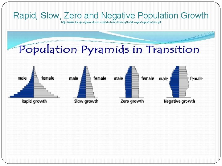Rapid, Slow, Zero and Negative Population Growth http: //www. bio. georgiasouthern. edu/bio-home/harvey/lect/images/agestructure. gif 