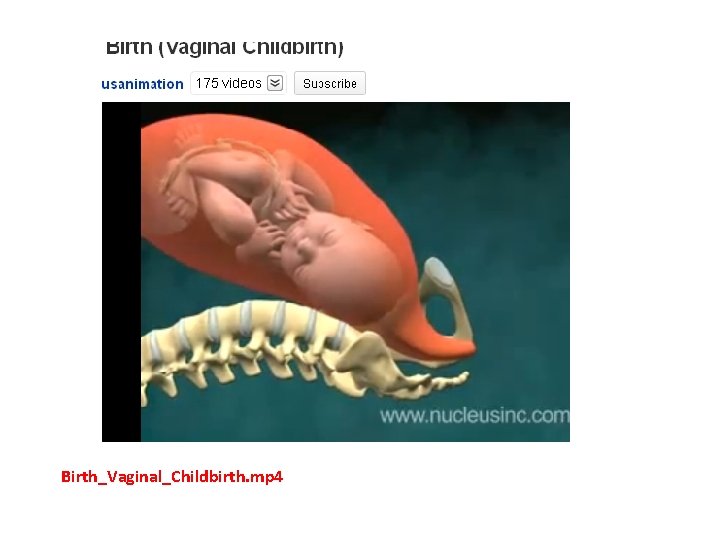 Birth_Vaginal_Childbirth. mp 4 