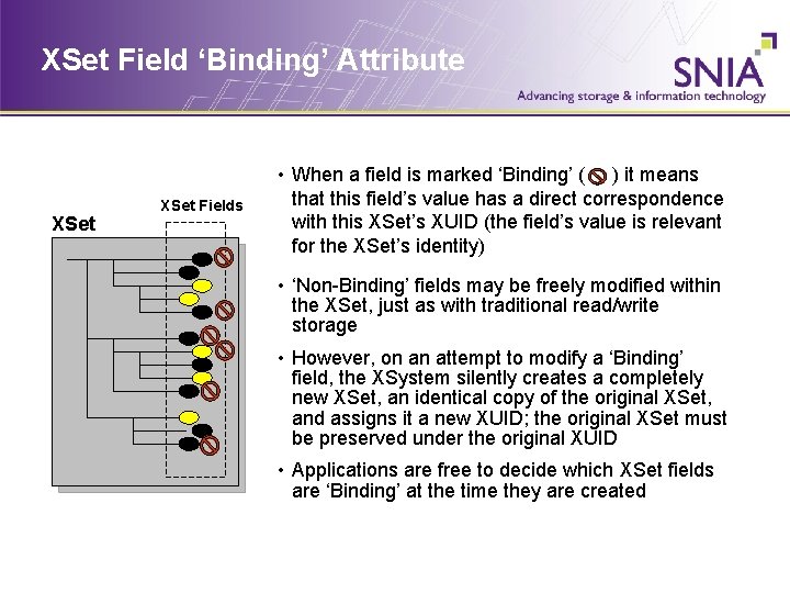 XSet Field ‘Binding’ Attribute XSet Fields • When a field is marked ‘Binding’ (