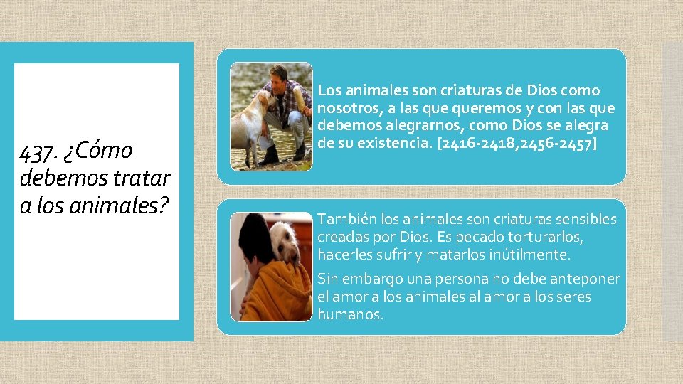 437. ¿Cómo debemos tratar a los animales? Los animales son criaturas de Dios como