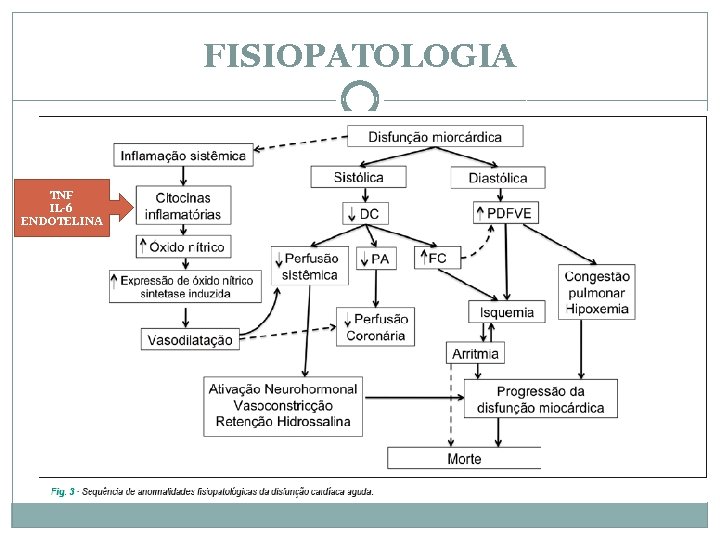 FISIOPATOLOGIA TNF IL-6 ENDOTELINA 