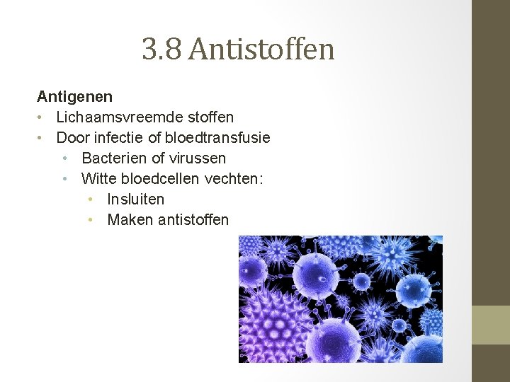 3. 8 Antistoffen Antigenen • Lichaamsvreemde stoffen • Door infectie of bloedtransfusie • Bacterien