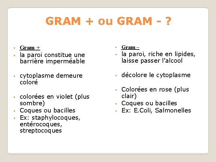 GRAM + ou GRAM - ? • • Gram + la paroi constitue une