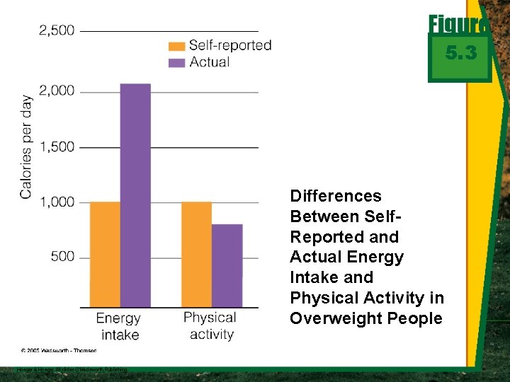 5. 3 Differences Between Self. Reported and Actual Energy Intake and Physical Activity in
