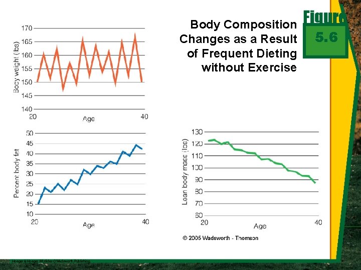 Body Composition Changes as a Result of Frequent Dieting without Exercise 5. 6 