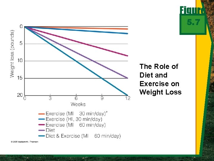5. 7 The Role of Diet and Exercise on Weight Loss 