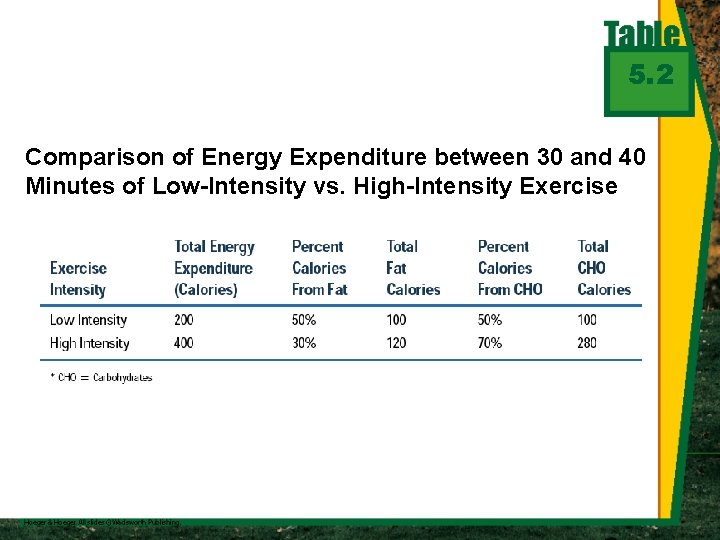 5. 2 Comparison of Energy Expenditure between 30 and 40 Minutes of Low-Intensity vs.