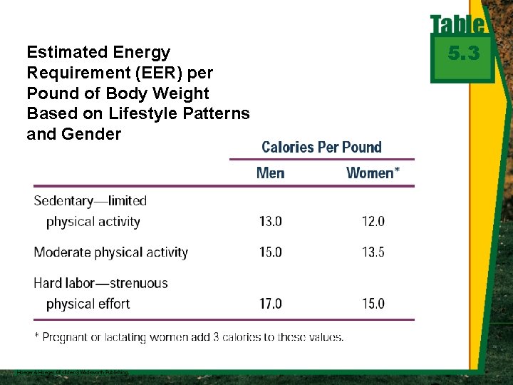 Estimated Energy Requirement (EER) per Pound of Body Weight Based on Lifestyle Patterns and
