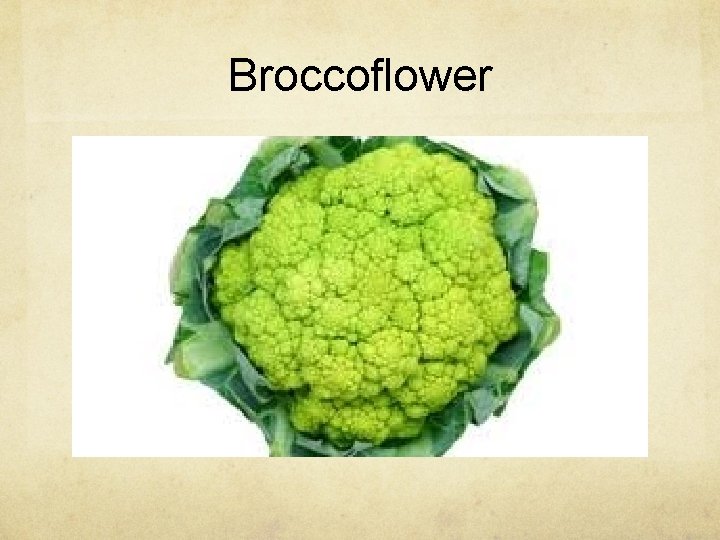 Broccoflower 