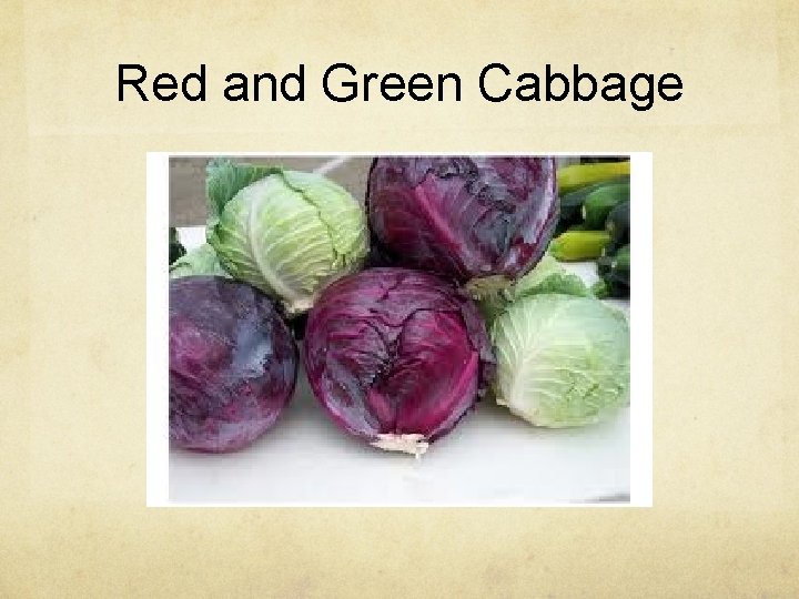 Red and Green Cabbage 