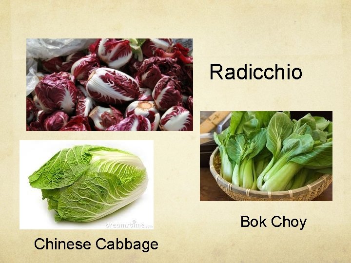 Radicchio Bok Choy Chinese Cabbage 