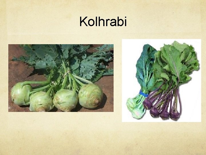 Kolhrabi 