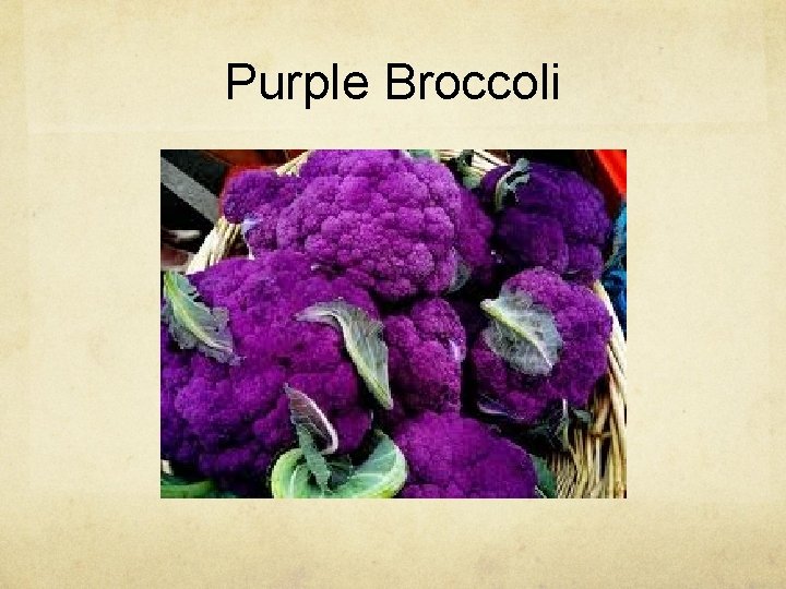 Purple Broccoli 