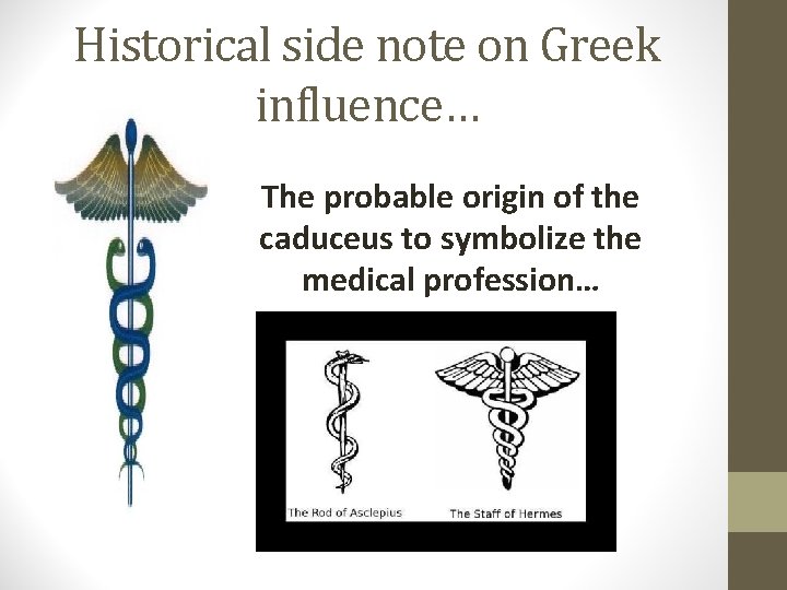 Historical side note on Greek influence… The probable origin of the caduceus to symbolize