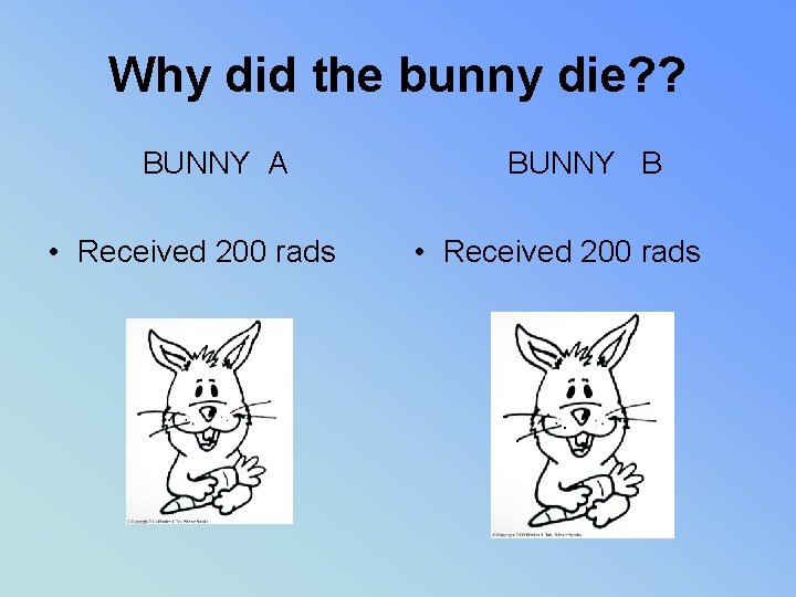 Why did the bunny die? ? BUNNY A • Received 200 rads BUNNY B