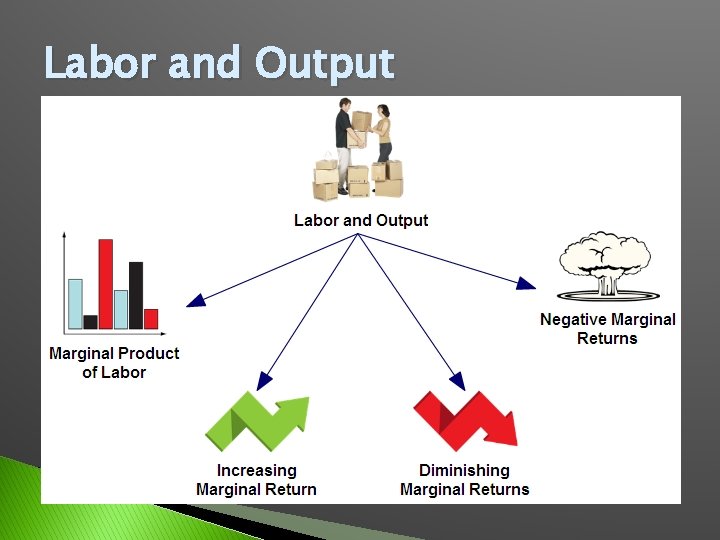 Labor and Output 