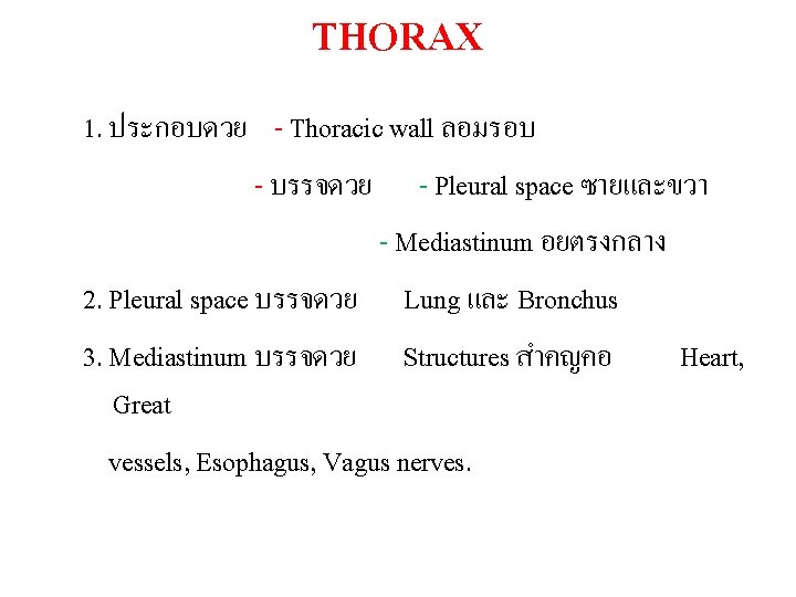 THORAX 1. ประกอบดวย - Thoracic wall ลอมรอบ - บรรจดวย - Pleural space ซายและขวา -