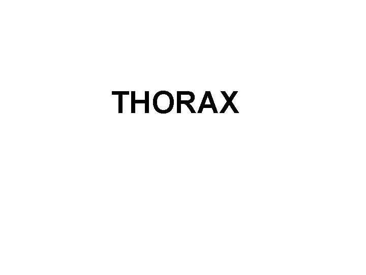 THORAX 