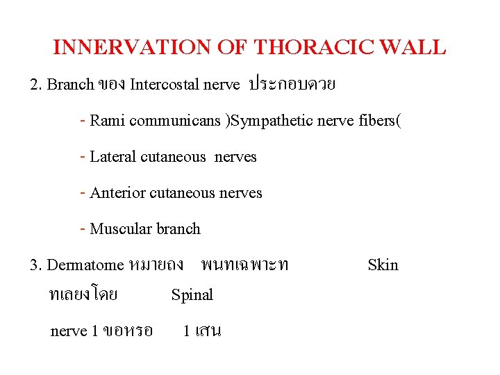 INNERVATION OF THORACIC WALL 2. Branch ของ Intercostal nerve ประกอบดวย - Rami communicans )Sympathetic