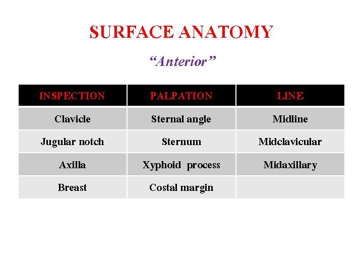 SURFACE ANATOMY “Anterior” INSPECTION Clavicle Jugular notch Axilla Breast PALPATION Sternal angle Sternum Xyphoid