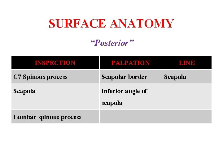 SURFACE ANATOMY “Posterior” INSPECTION C 7 Spinous process Scapula Lumbar spinous process PALPATION Scapular