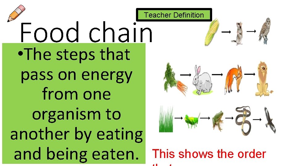 Teacher Definition Food chain • The steps that pass on energy from one organism