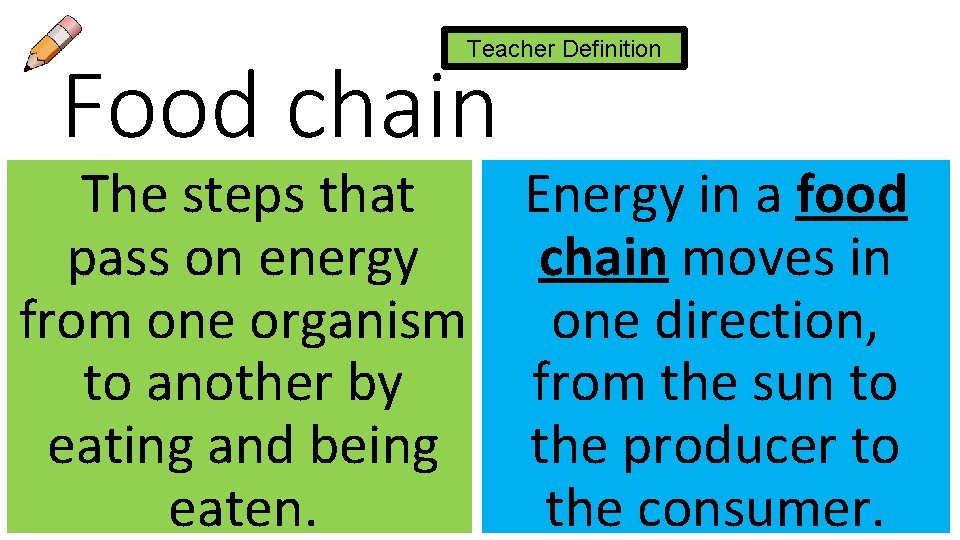 Teacher Definition Food chain The steps that Energy in a food pass on energy