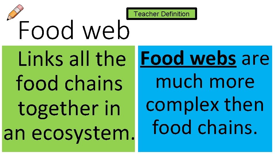 Food web Teacher Definition Links all the Food webs are food chains much more
