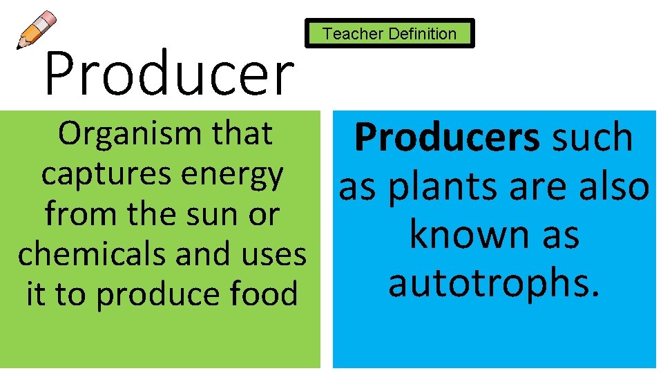 Producer Organism that captures energy from the sun or chemicals and uses it to