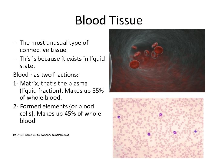 Blood Tissue - The most unusual type of connective tissue - This is because Blood Tissue - The most unusual type of connective tissue - This is because