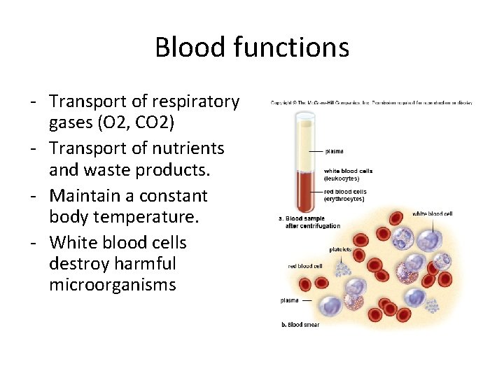 Blood functions - Transport of respiratory gases (O 2, CO 2) - Transport of Blood functions - Transport of respiratory gases (O 2, CO 2) - Transport of