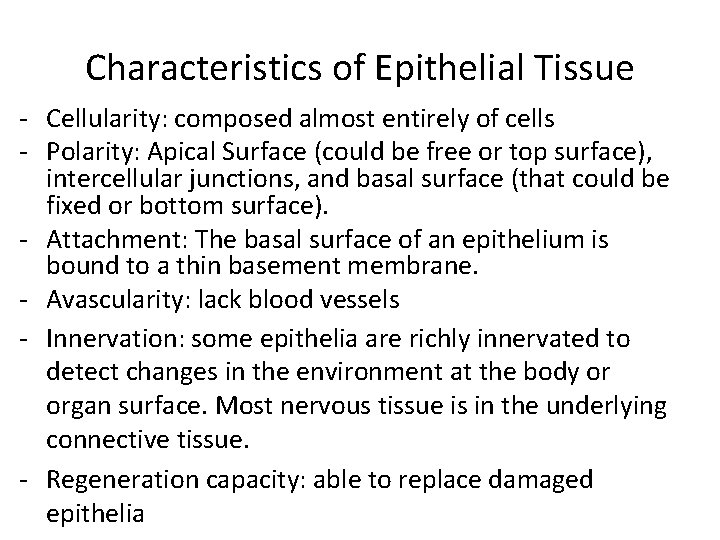 Characteristics of Epithelial Tissue - Cellularity: composed almost entirely of cells - Polarity: Apical Characteristics of Epithelial Tissue - Cellularity: composed almost entirely of cells - Polarity: Apical