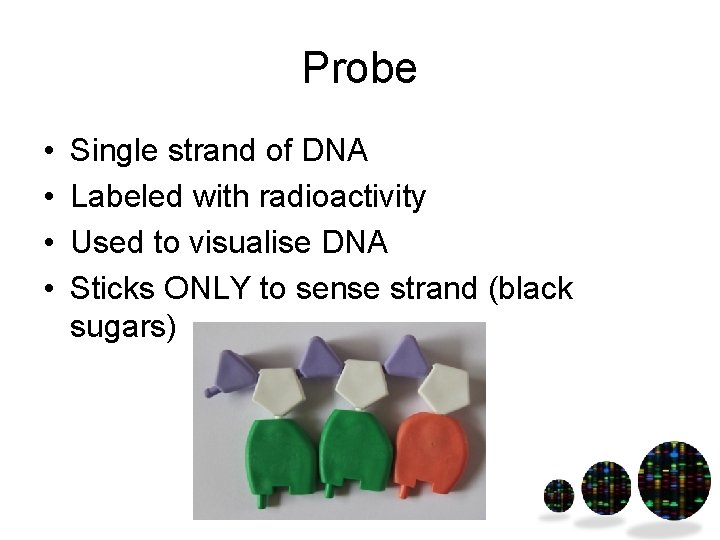 Probe • • Single strand of DNA Labeled with radioactivity Used to visualise DNA